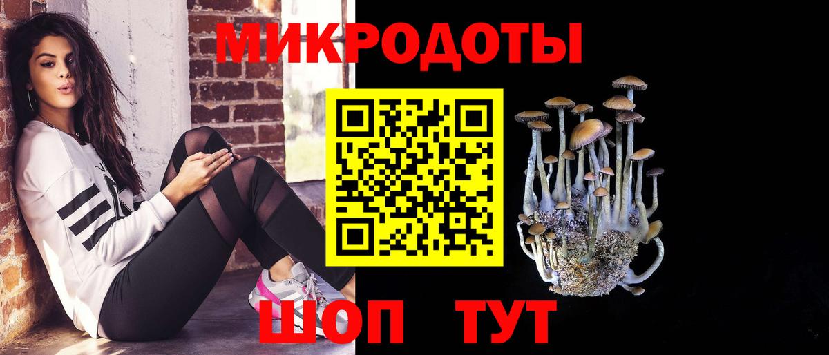 Калининград  купить наркотик  Вход с VPN  Псилоцибиновые грибы Magic Shrooms  Галлюциногенные грибы Psilocybe 